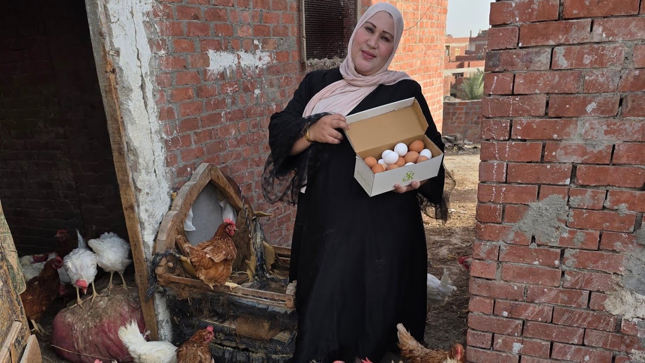 افضل مشروع تعمله بكل سهولة وبدون رأس مال وجيبك عمره ما هيخلى من الفلوس 