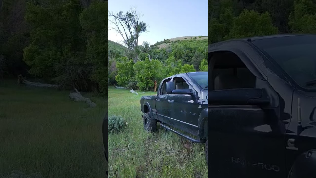 #girlsandguns #tannerite #outdoors #guns #ar47 #frt  #pewpewlife #stumpremoval