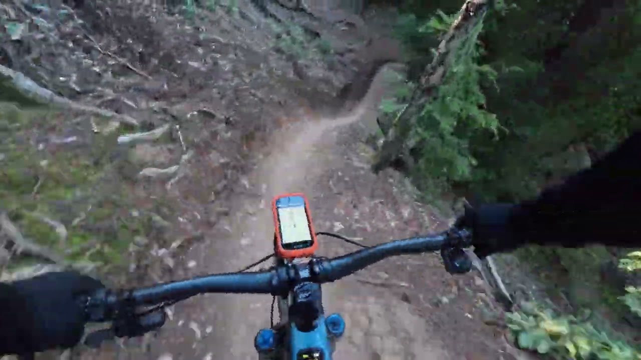 Soquel Demonstration Forest (Demo) Flow Seg 3, 4 & 5