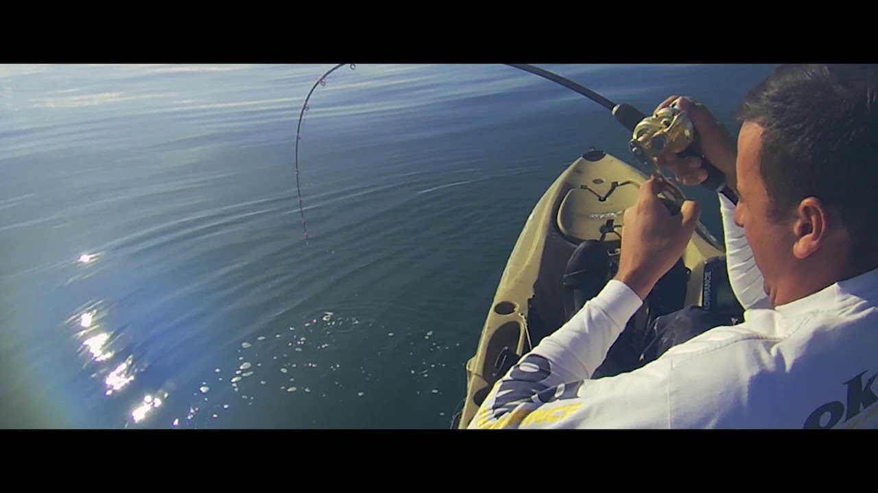 Kayak Fishing- Cernia bianca 5kg