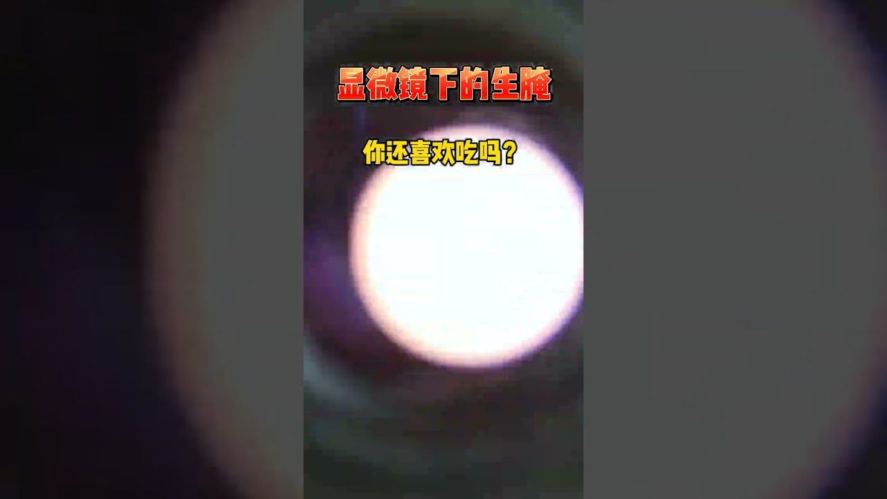 生腌海鲜，真的有寄生虫吗？潮汕生腌 显微镜下的世界 科普一下