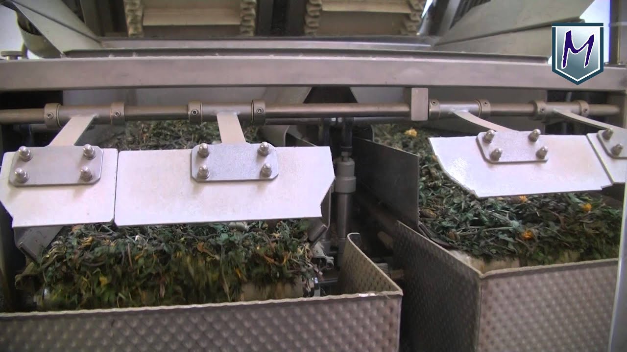 2004 A - Linear Weigher for 0,5 t 5 kg.