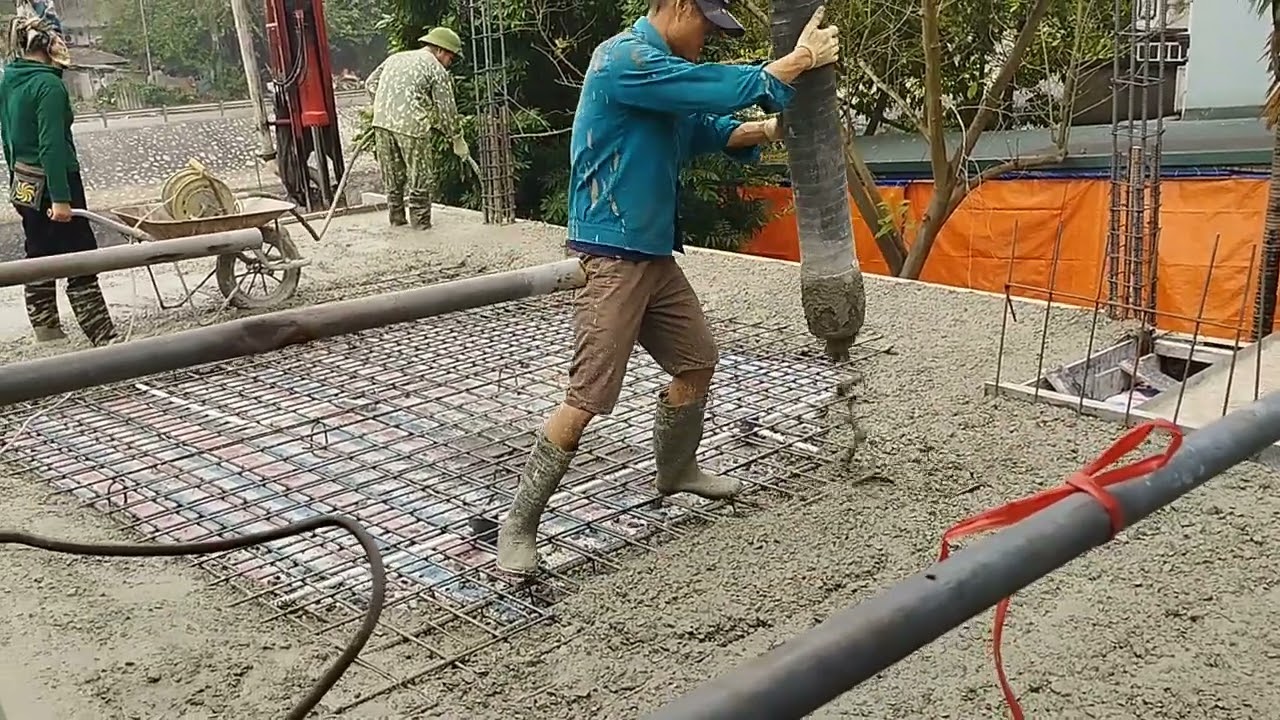 vườn lan nhỏ TP đổ trần tầng 1 ngày 26/2 âm lịch
