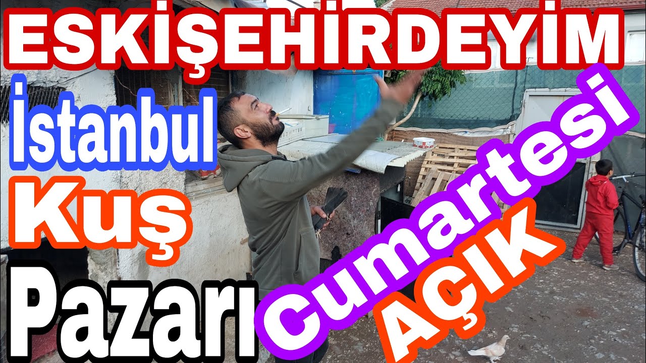 ESKİŞEHİRDEYİM. İstanbul Kuş Pazarı, CUMARTESİ Günü Açık. Ahmet Karganın Taklacı Güvercinleri.