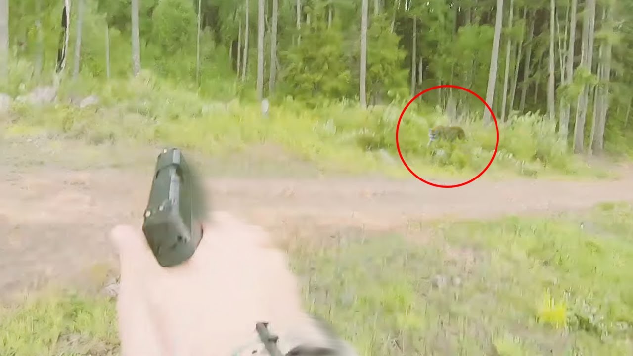4 Mountain Lion Encounters You Should Never See