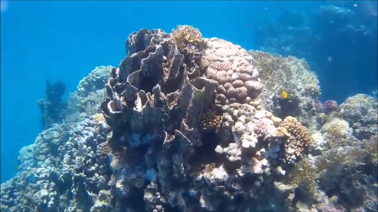 Utopia Beach Club 2016