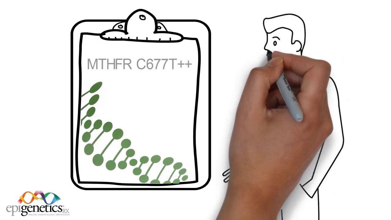 MTHFR Animation