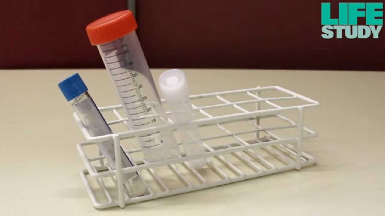 How to collect cord blood