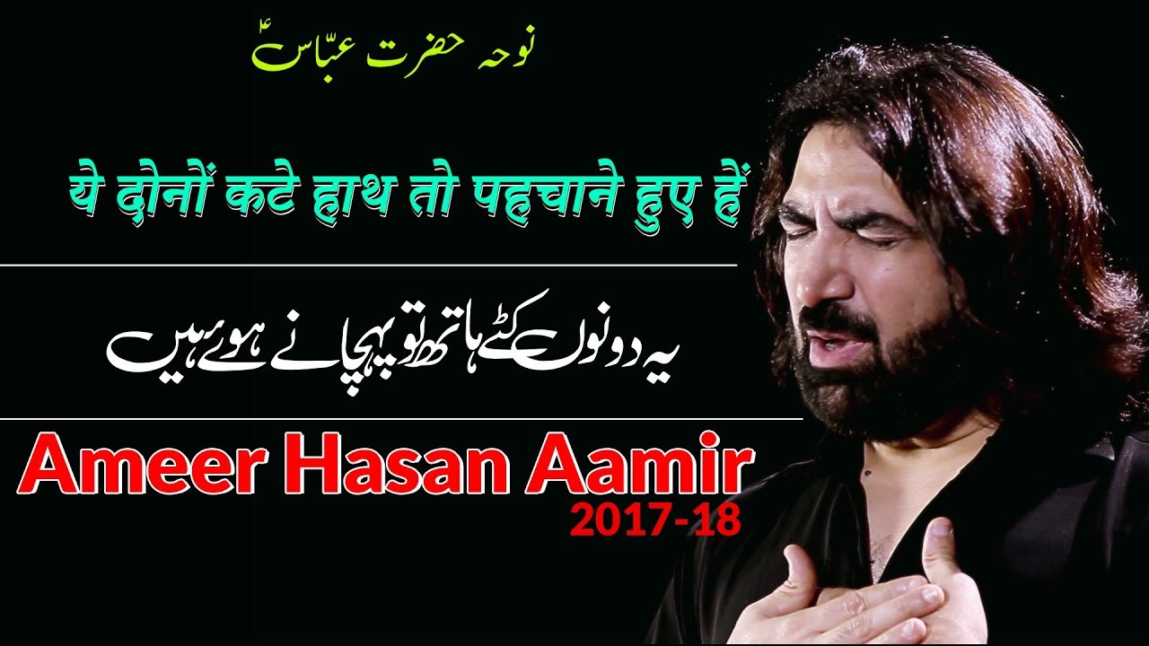 Ye Dono Kate Haath To Pehchane Hue Hen Ameer Hasan Aamir Nohay 2017 | ये दोनों कटे हाथ