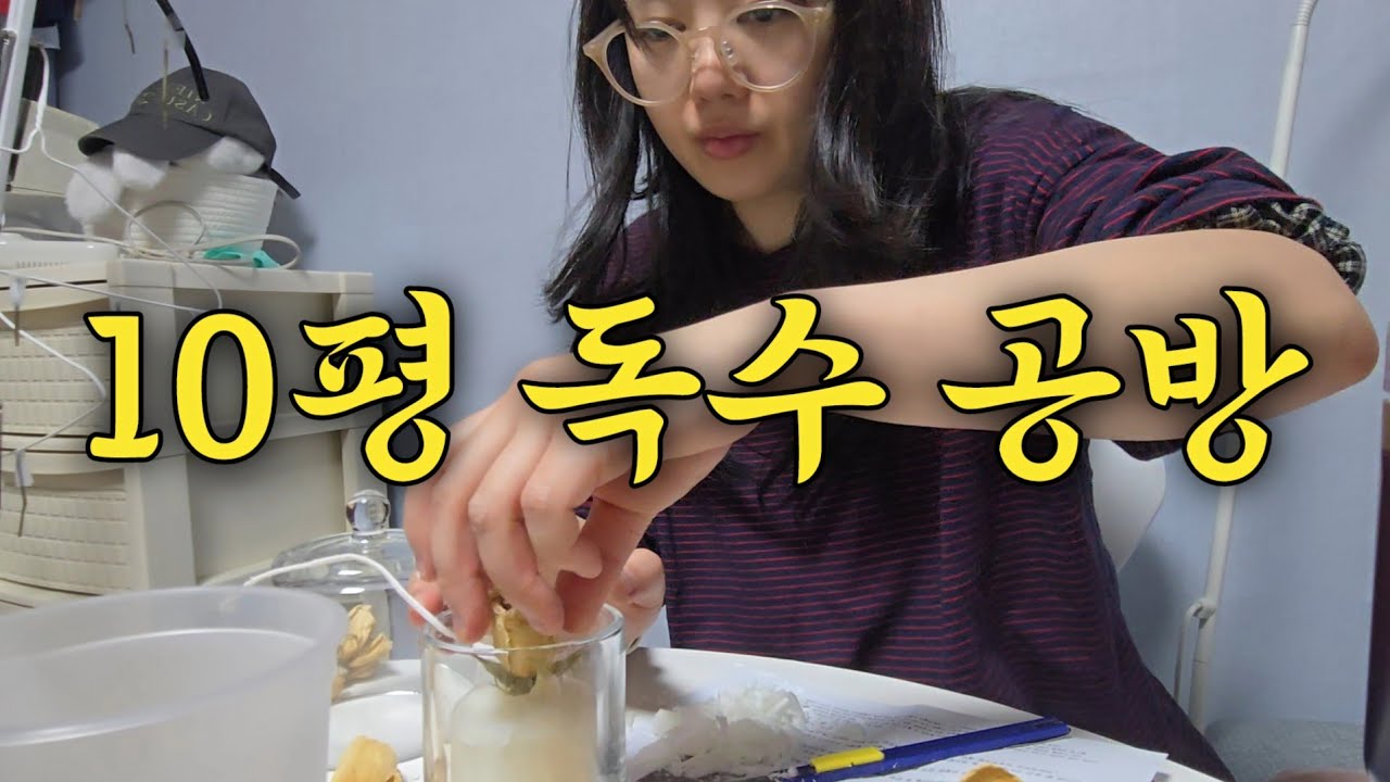 10평 자취방에서 혼자 북적이는 뚝딱이의 하루
