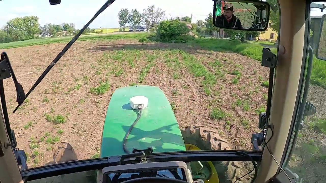 trzeba je łapać p&oacute;ki się da... dużo maleńkich chwast&oacute;w powychodziło 🧐Adengo 0.2l powinno je załatwić