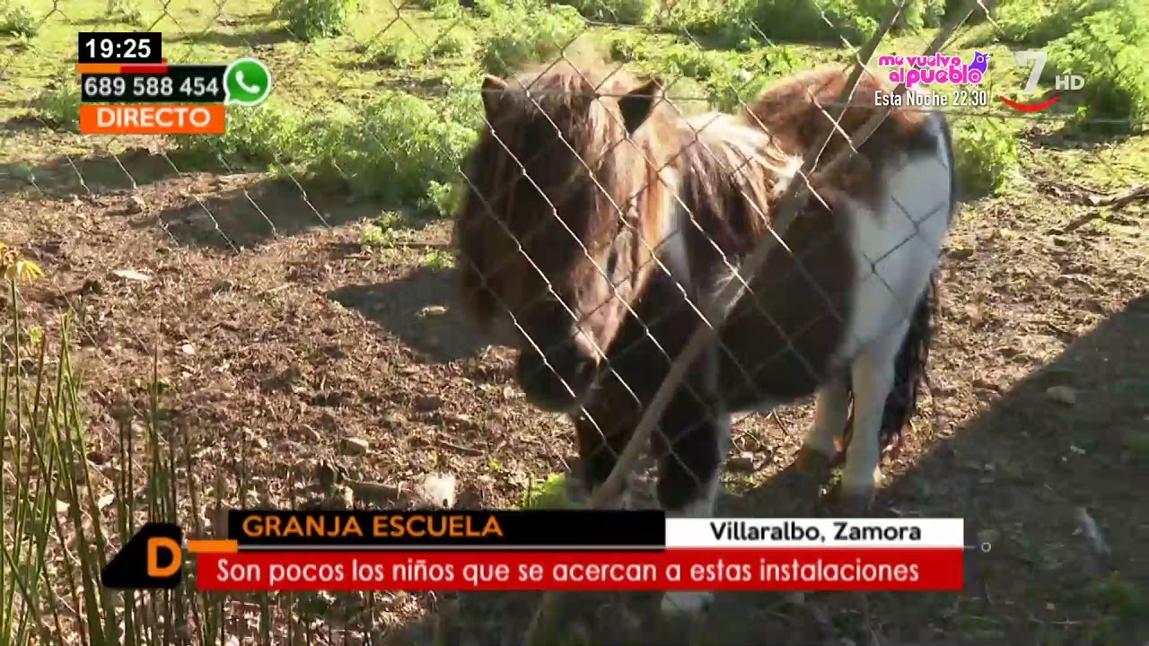Visitamos la granja escuela 'El Trillo', en Villaralbo, Zamora | Castilla y León directo