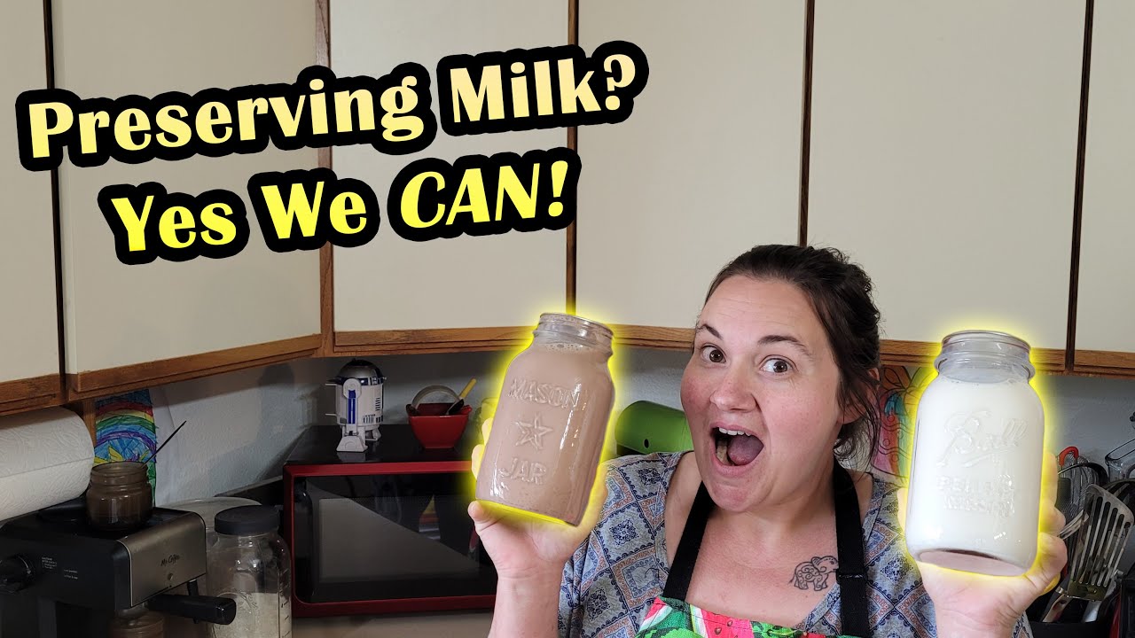 Lock in Milk Prices While You CAN - DIY Shelf Stable Milk