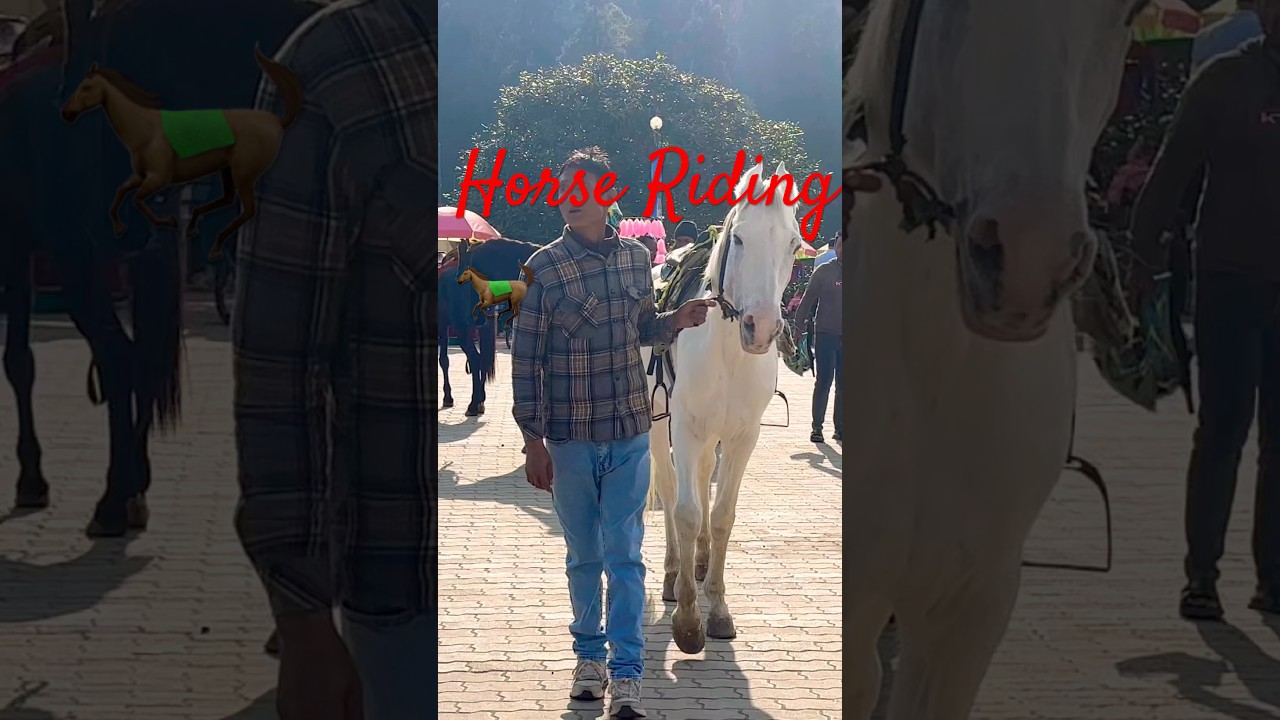 Horse riding 🐎