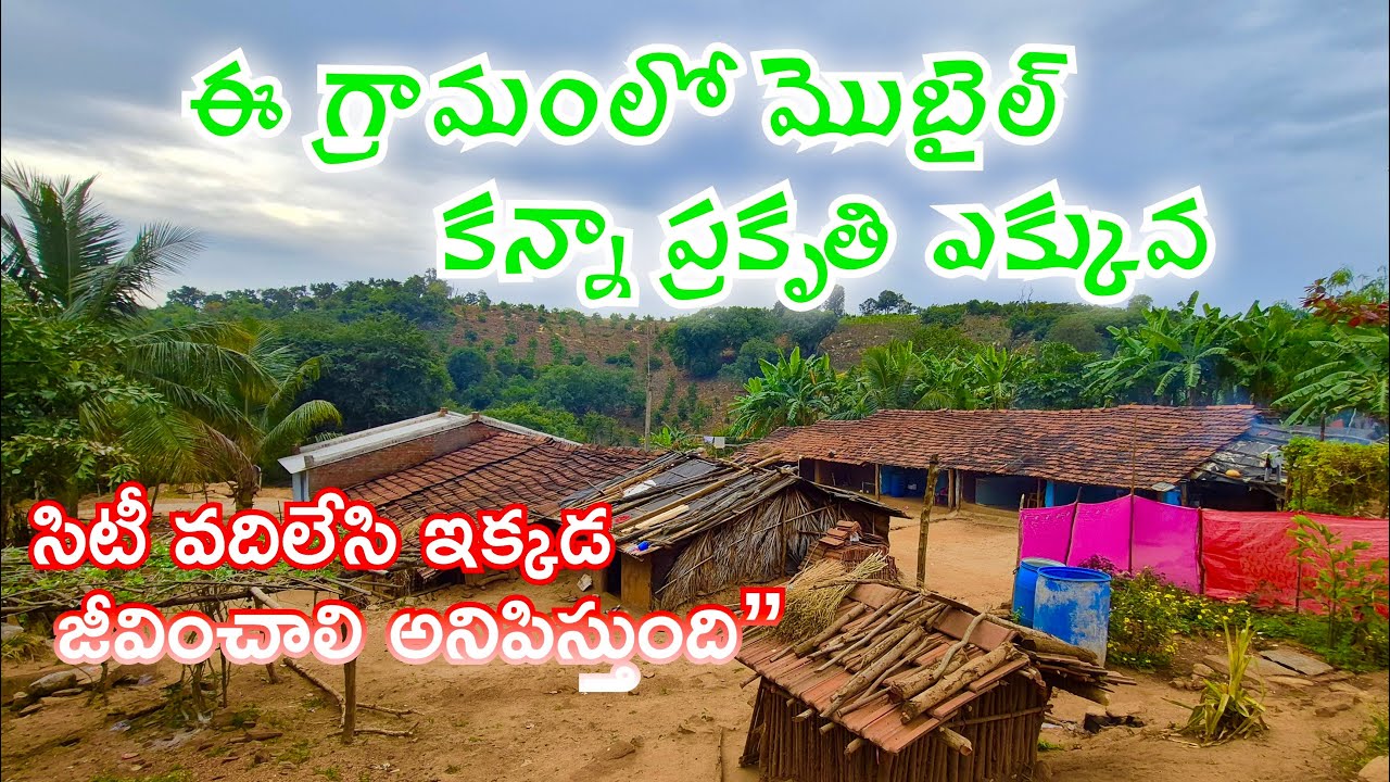 సిటీ వదిలేసి ఇక్కడ జీవించాలి అనిపిస్తుంది | ప్రశాంత గ్రామ జీవితం | Natural Life Telugu