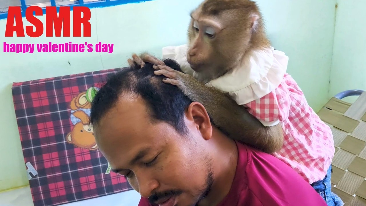 Monkey ASMR Human On Happy Valentine's Day, Blessing You All Happiness, Healthy, Peace In Mind