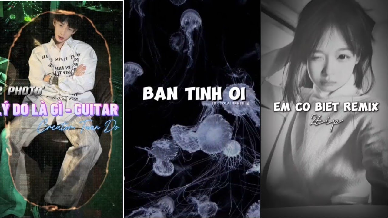 [ Tik Tok ] Tổng hợp những bài nhạc remix cực hay trên Tik Tok P.39