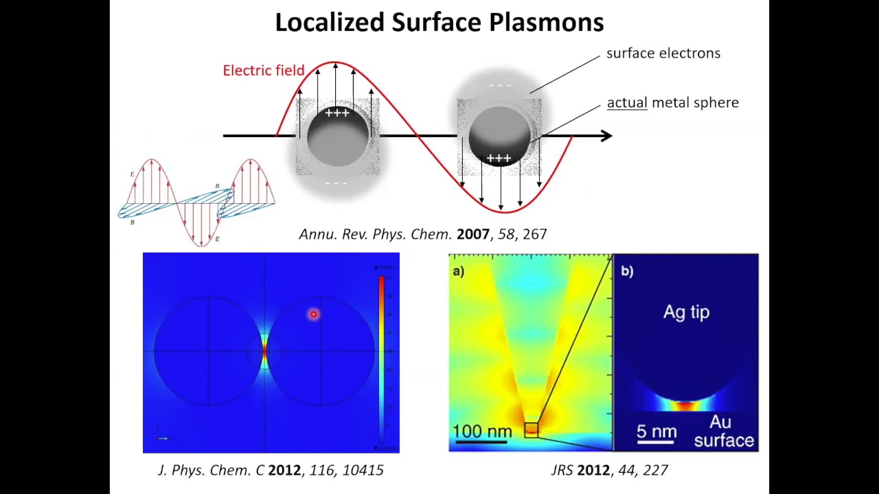 Tip-Enhanced Raman Nano-Imaging and Nano-Spectroscopy