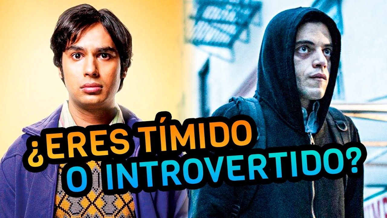 TÍMIDO o INTROVERTIDO? Cómo distinguirlos | Claudia Nicolasa