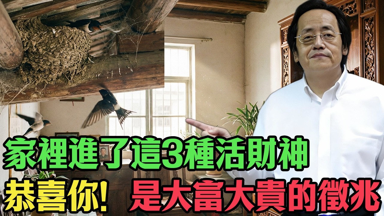 倪海廈：恭喜你！家裡進了這3種「活財神」，是大富大貴的徵兆！留住它，子孫富貴三代！#倪海廈 #中醫養生 #風水改運 #陽氣 #經方中醫