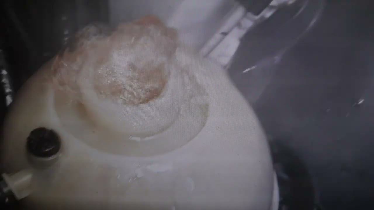 Sale espuma y hierve el refrigerante, ¿ FALLO del enfriador de gases de escape o junta de culata ?