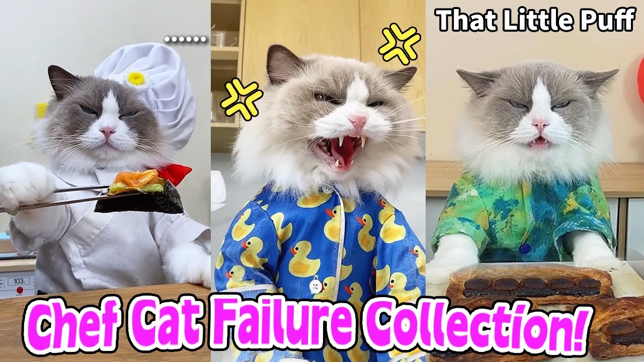 😂Funniest Fails Collection! Part2 | That Little Puff