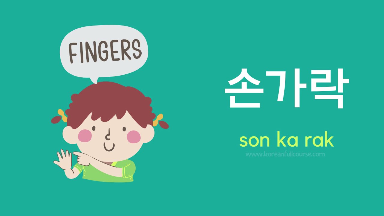 Korean Vocabulary by Category (Body Parts)