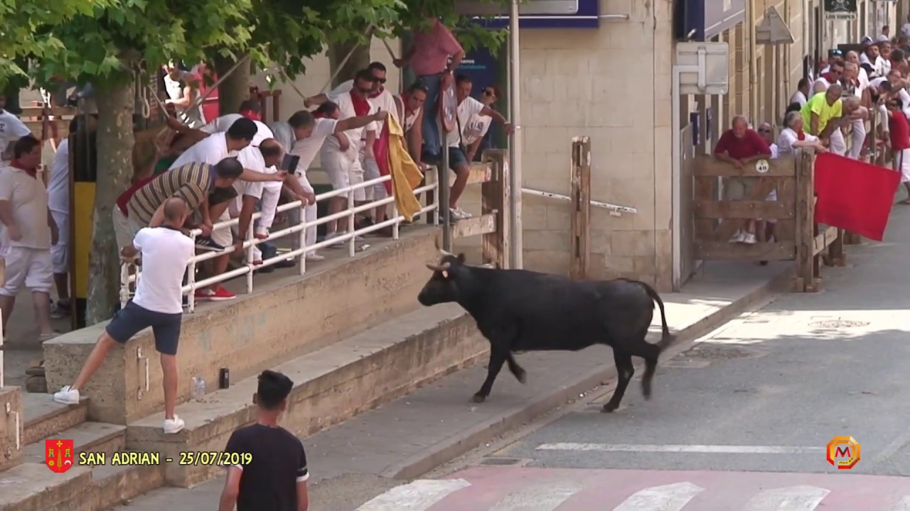 Tv San Adrian - 25/07/2019 - Fiestas - Encierro