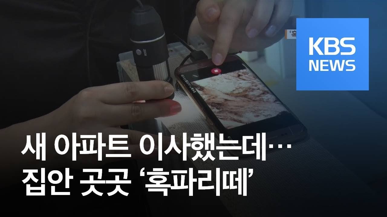 [뉴스 따라잡기] 새 아파트에 이사했더니…집안 곳곳 ‘혹파리떼’ / KBS뉴스(News)