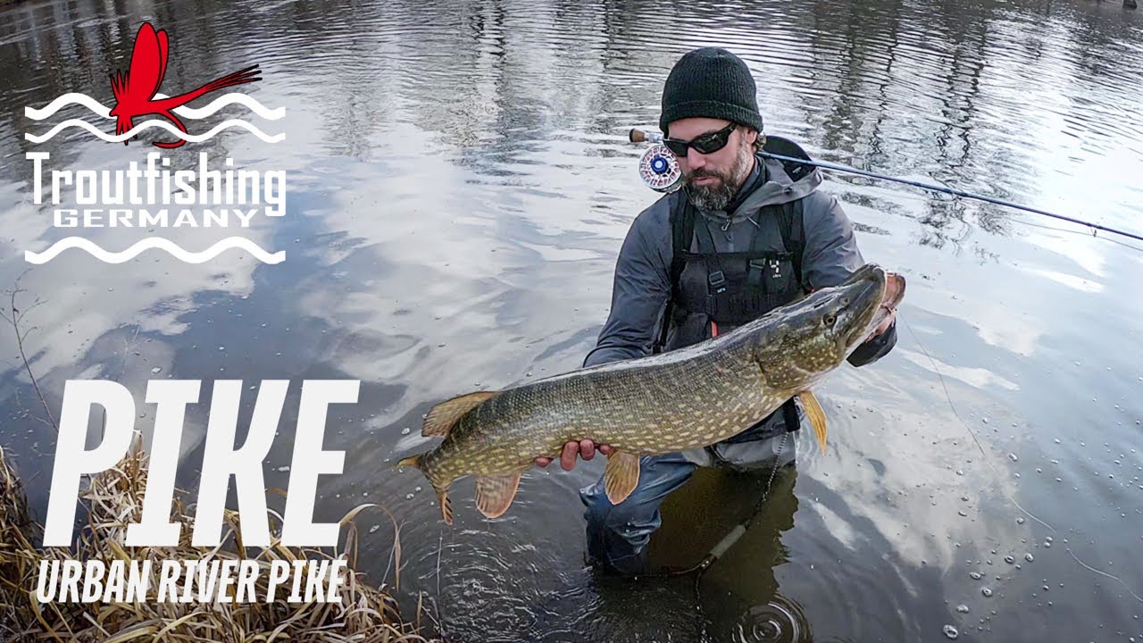 PIKE FLY FISHING - River Pike in an Urban Area - Winter & High Water