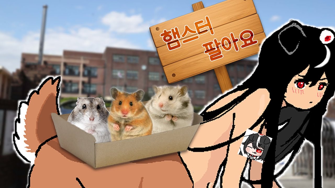 방송이 망하면 릴리아 코스프레를 하고 학교 앞에서 햄스터를 팔겠다(날조 조금)