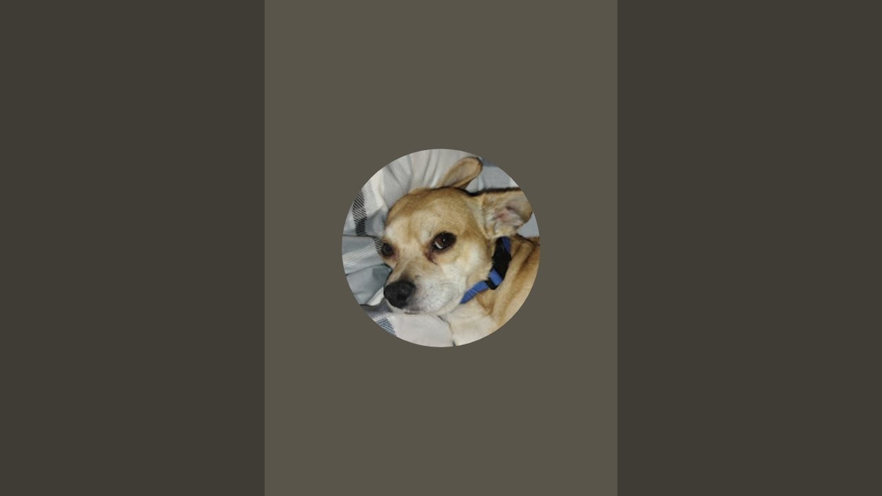 Mostly Wholesome Content  is live!