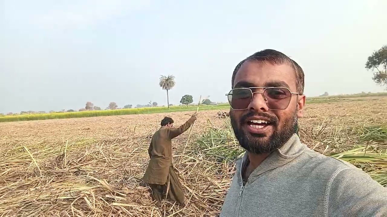 🎥 گنے کی فصل، کسان پریشان | Sardi mein Mazdoor ki Mehnat, Proper Rate nahi