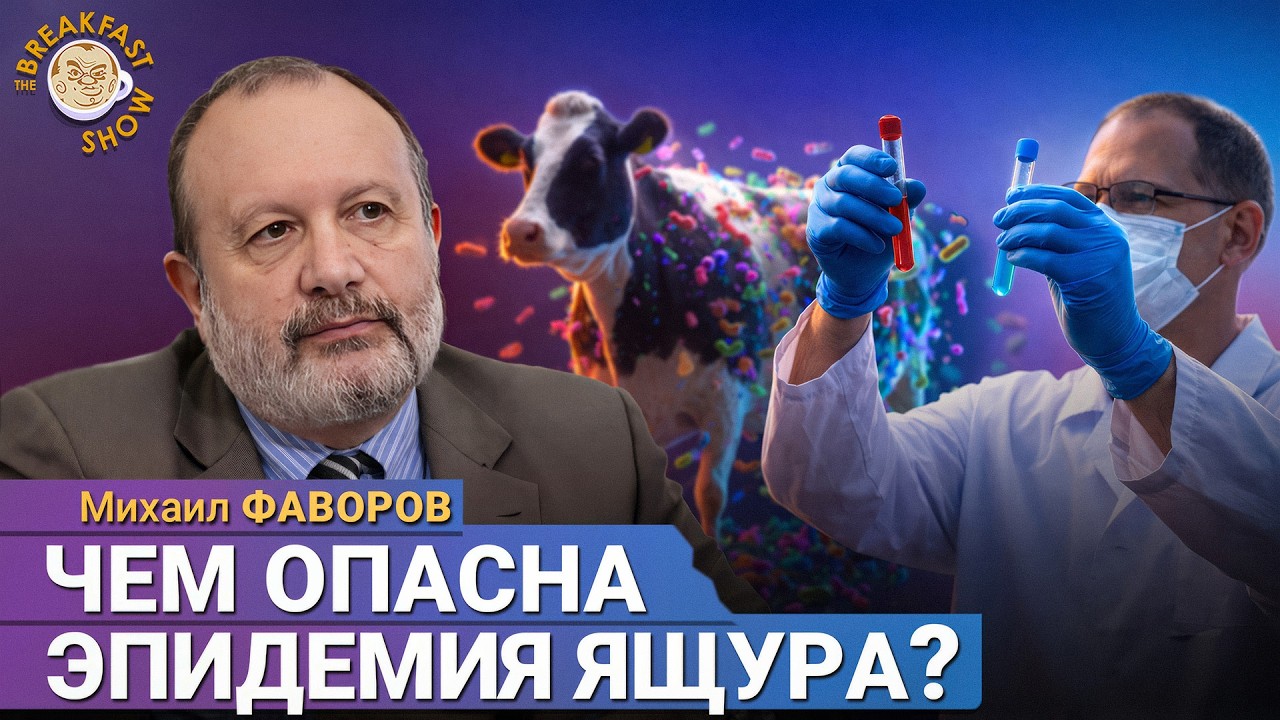 Ящур: можно ли покупать мясо и молочную продукцию? | Эпидемиолог Михаил Фаворов на Breakfast Show