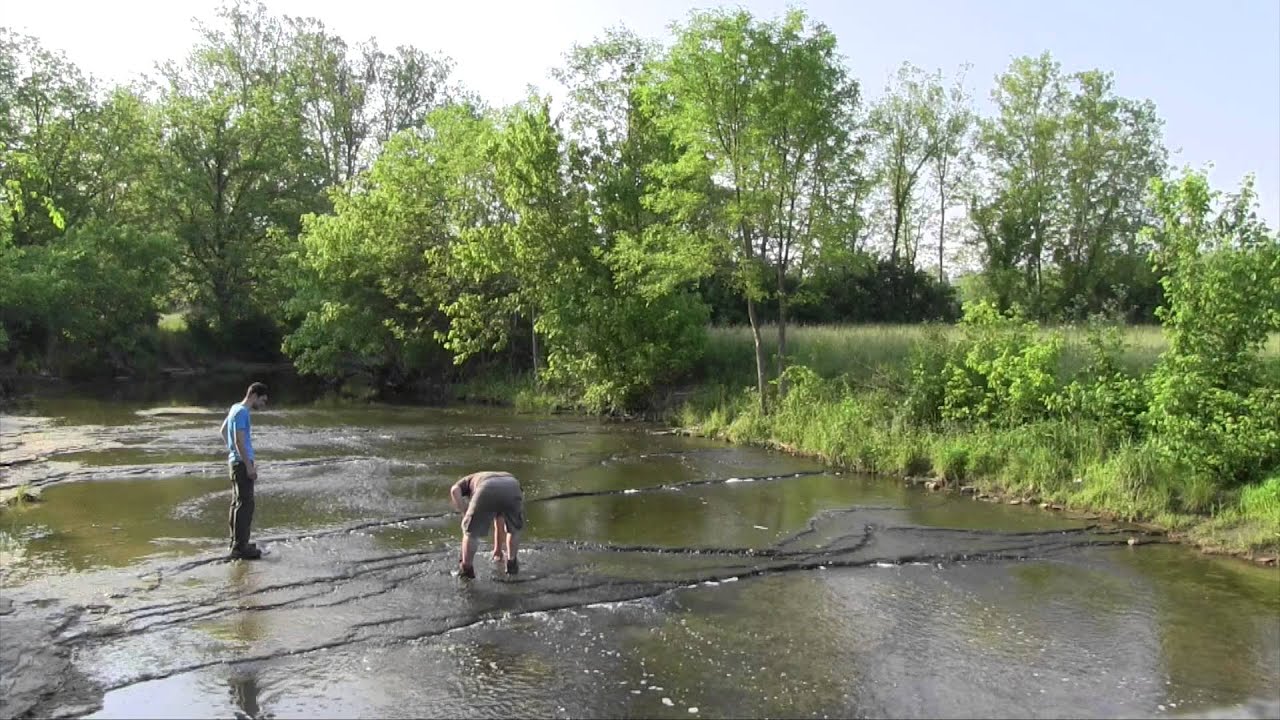 Water Quality in Streams and Lakes -Dr. Walter Borowski