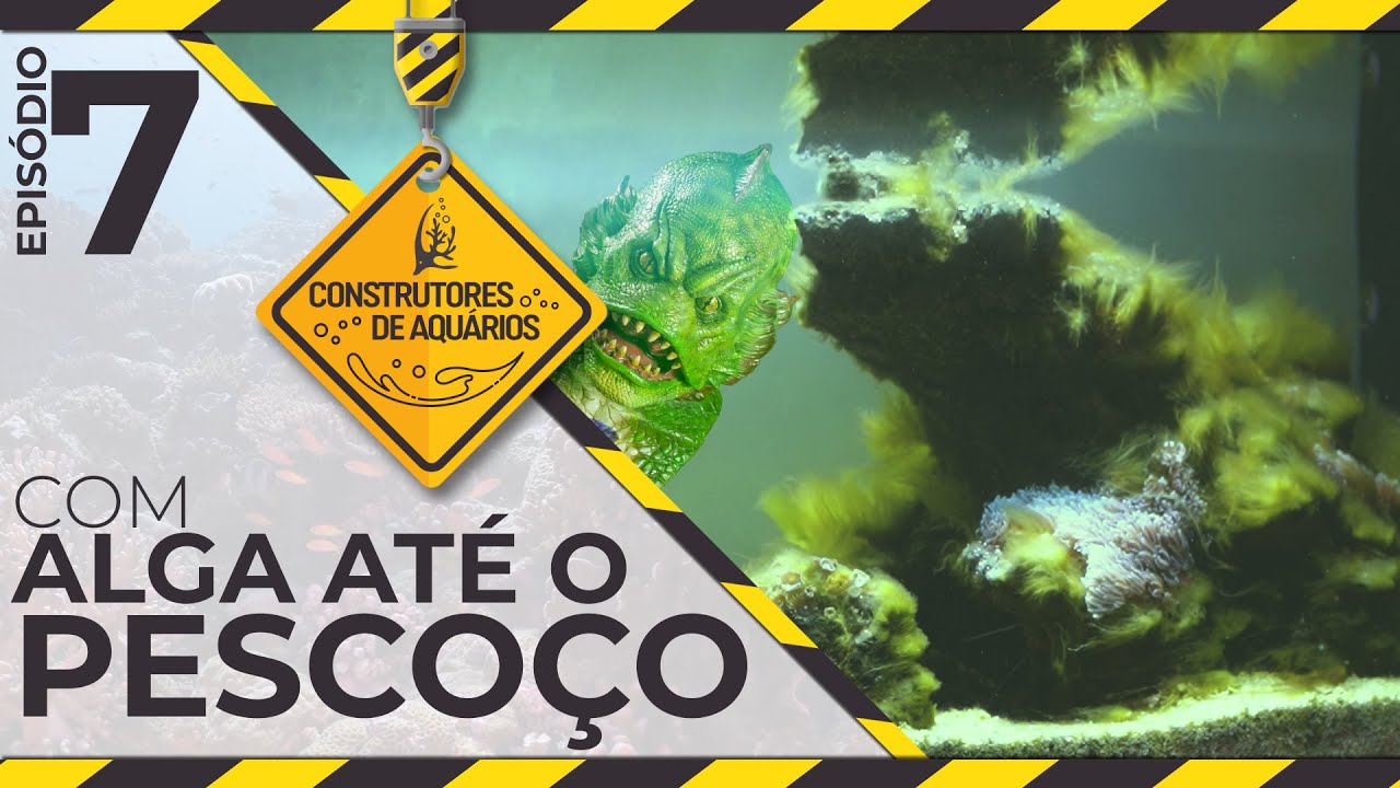 COM ALGA ATÉ O PESCOÇO - INACREDITÁVEL