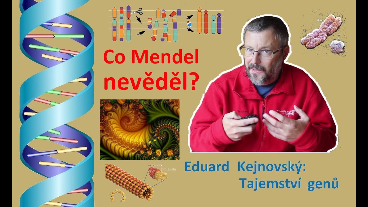 Co Mendel nevěděl? (Tajemství genů N70)