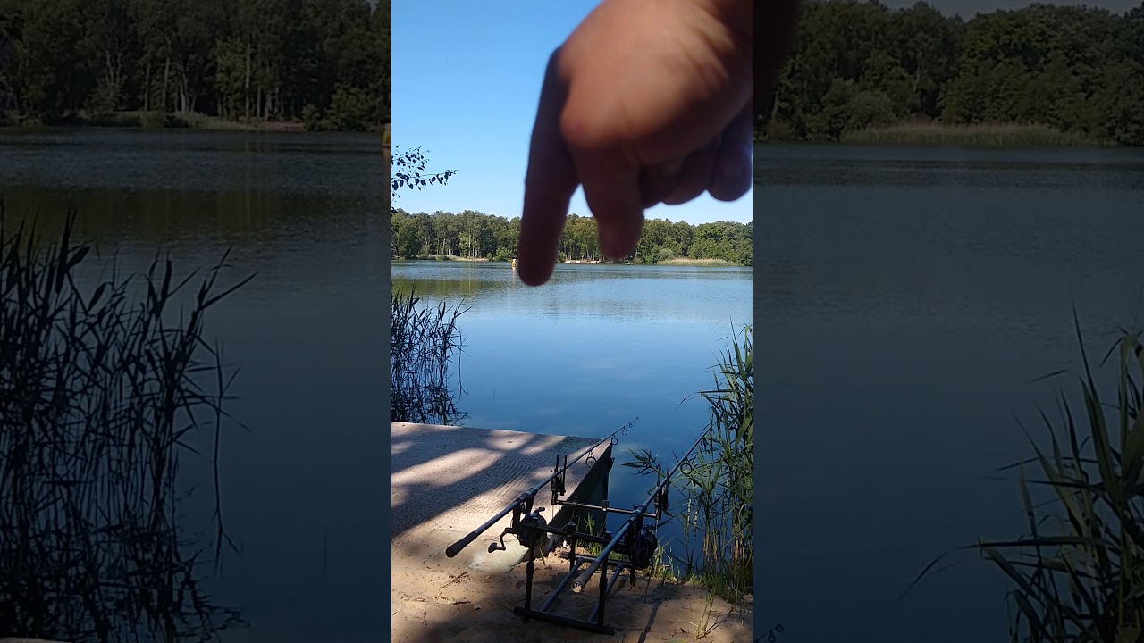 Leisure lakes fisheries live take