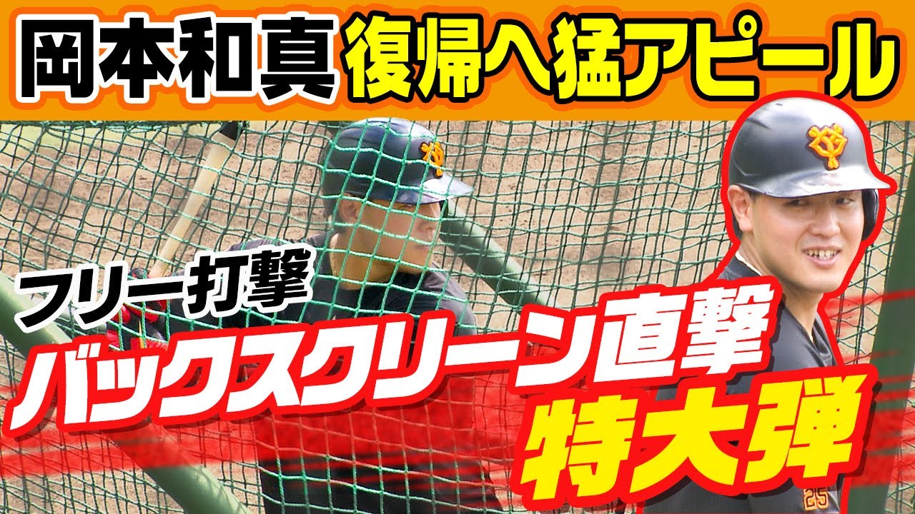 【柵越え連発！】巨人の岡本和真がフリー打撃でバックスクリーン直撃の特大弾！左ヒジ負傷から実戦復帰へ