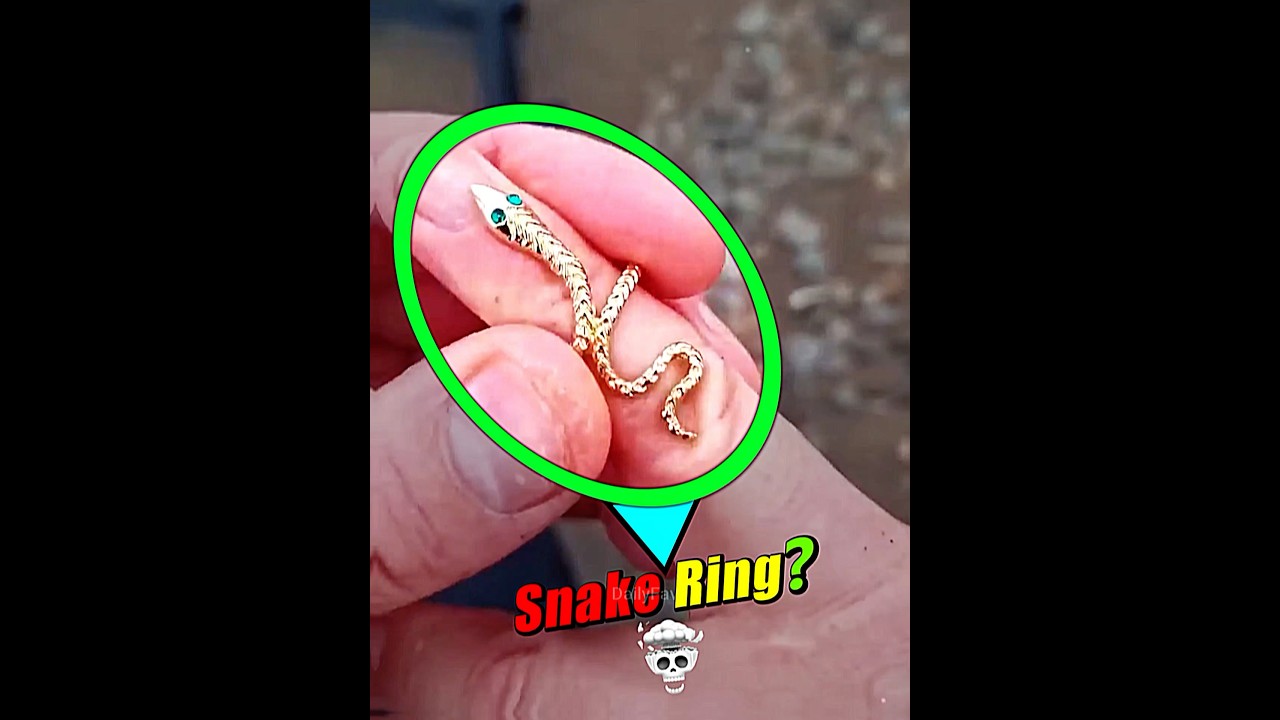 Amazing Treasure Finds🐍☠️
