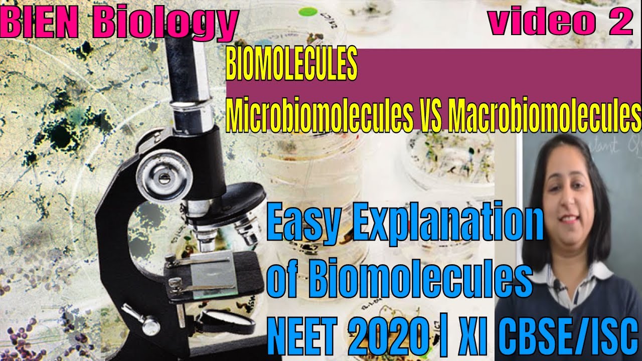 Biomolecules made easy | Micro biomolecules and Macro biomolecules |XI NEET| CBSE and ISC |By BIEN
