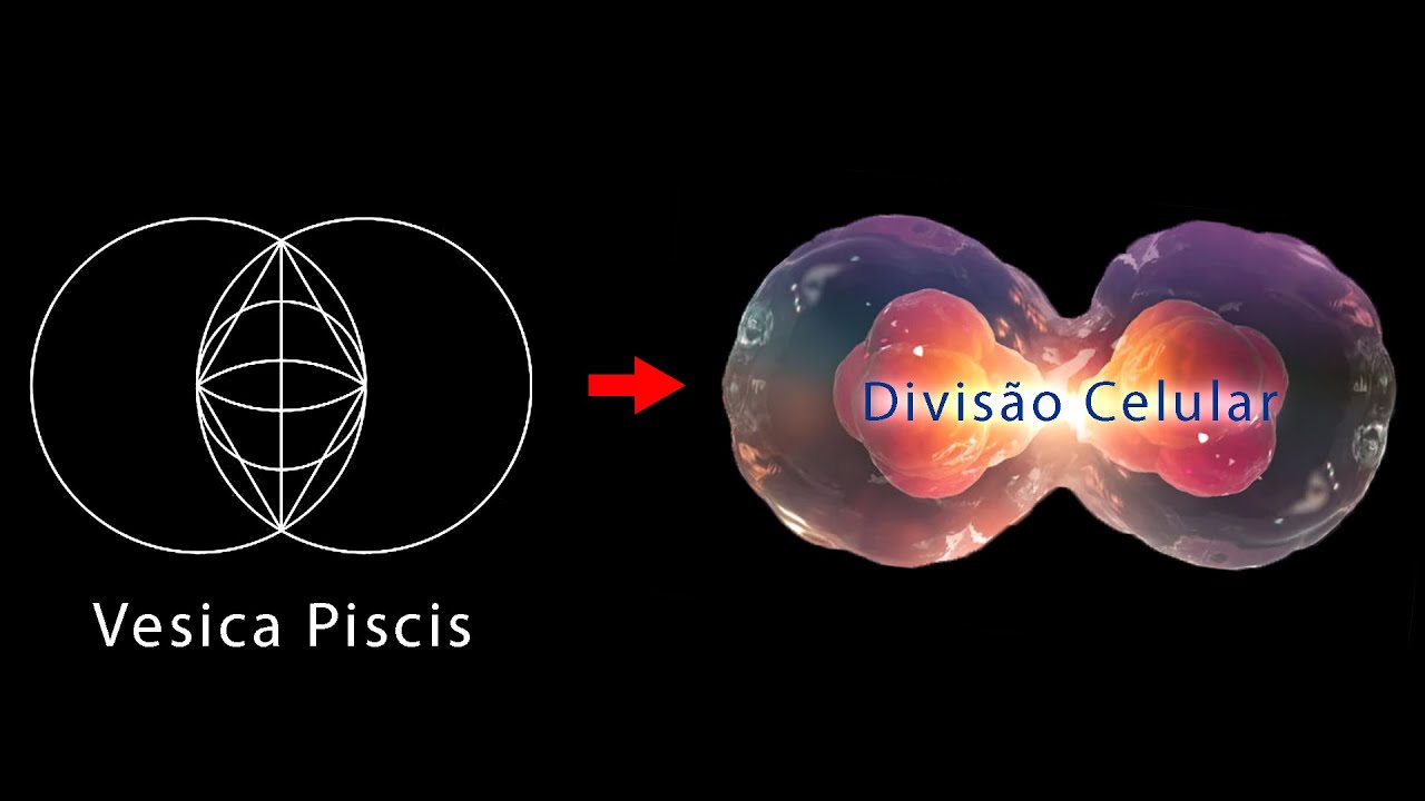 A Vesica Piscis: A Chave da Compreens&atilde;o da F&iacute;sica - Geometria Sagrada