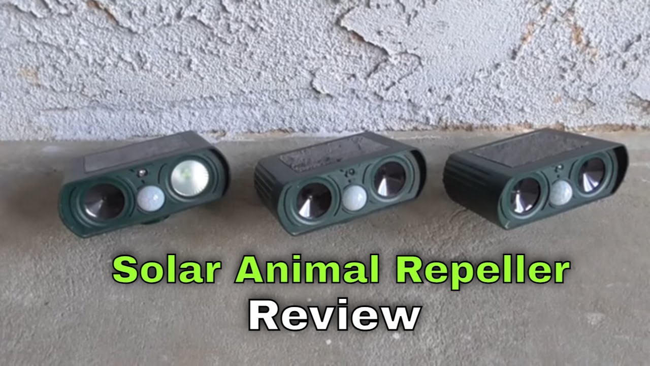 Solar Animal Repeller - Review