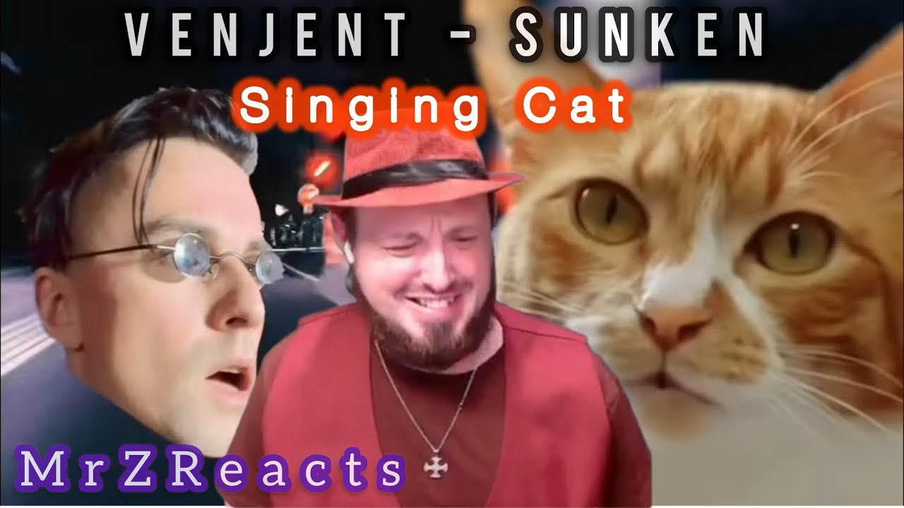 Venjent Sunken | Reaction 