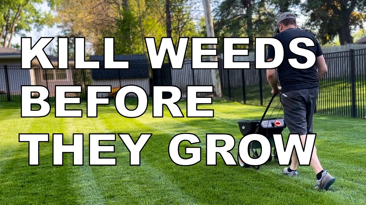 Kill weeds before they grow - spring weed control