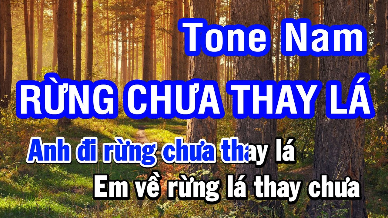 Karaoke Rừng Chưa Thay Lá (Như Quỳnh) Tone Nam