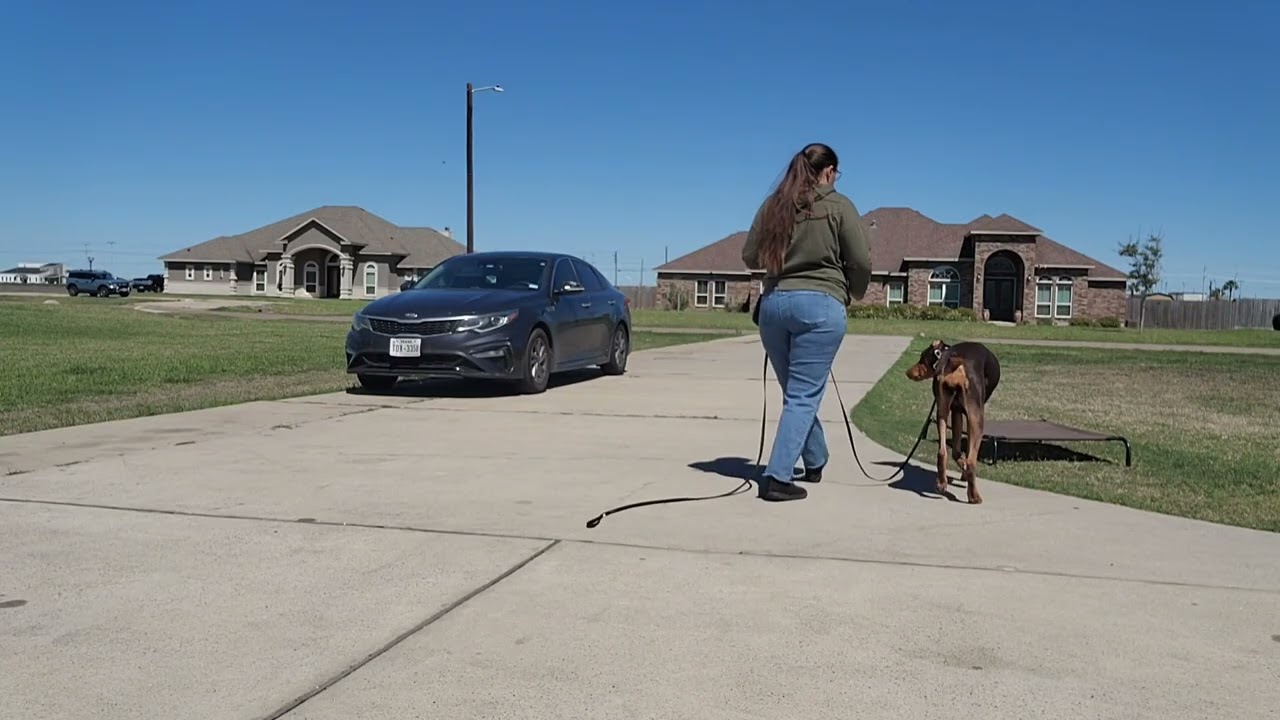 Leia Day 10 update