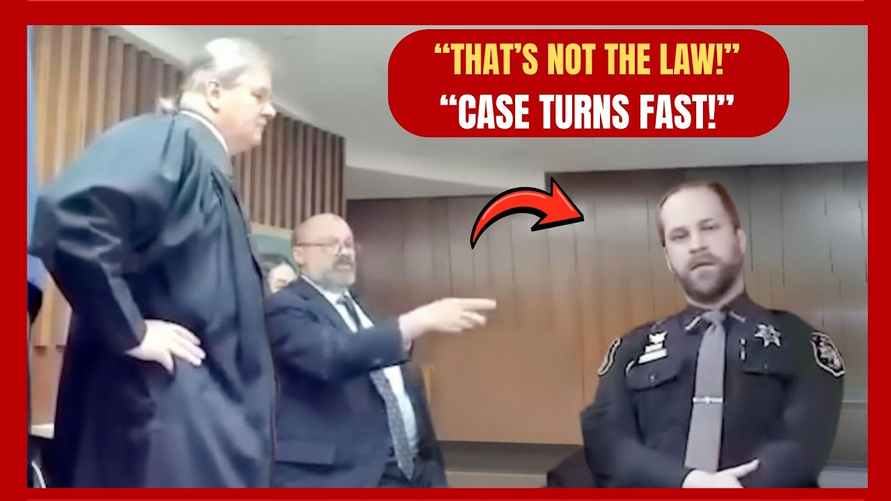 Адвокат полностью контролирует действия полицейского в суде, но это немедленно приводит к обратны...