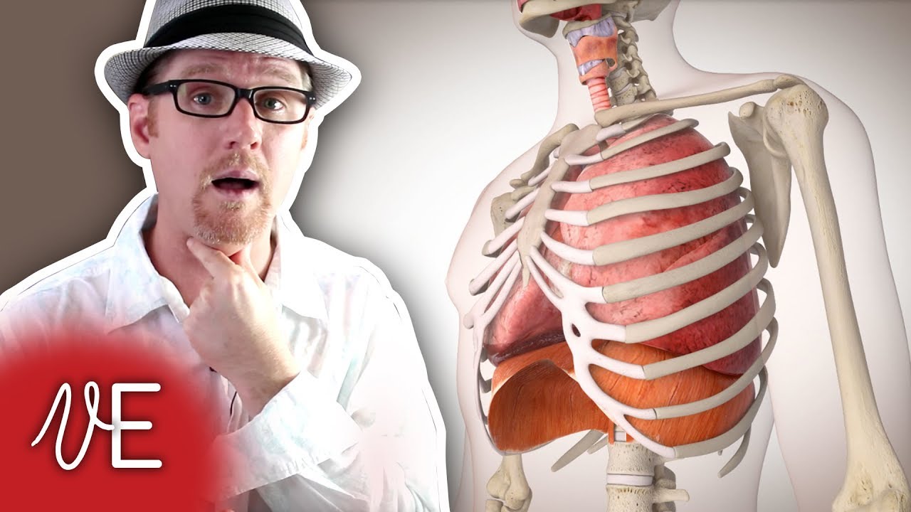 Sing with Physical Sensation | Sing with Feeling | Kinaesthetics | #DrDan 🎤