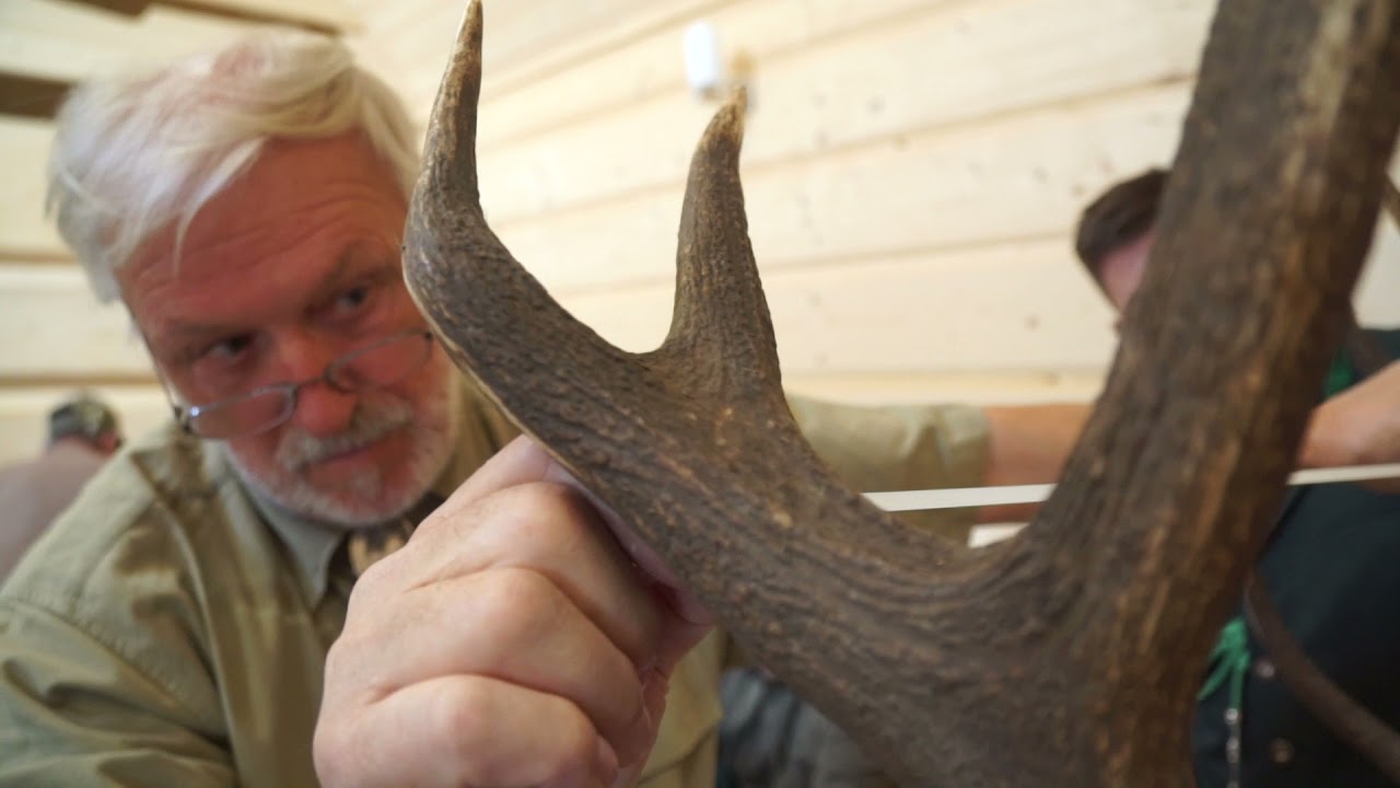 Okręgowa wycena medalowa trofeów łowieckich - relacja